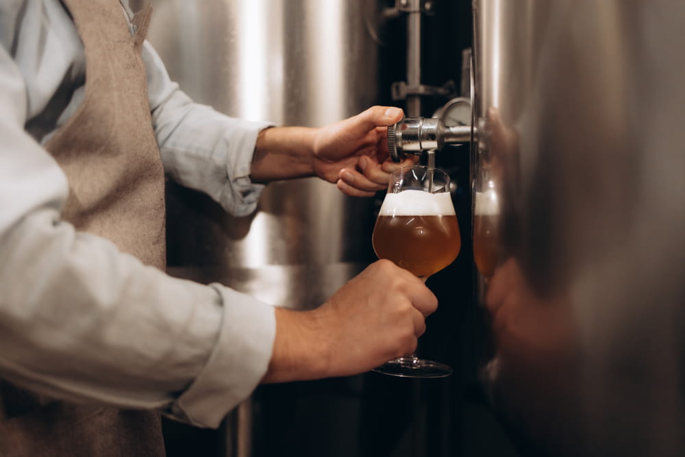 מבשלת בירה בישראל